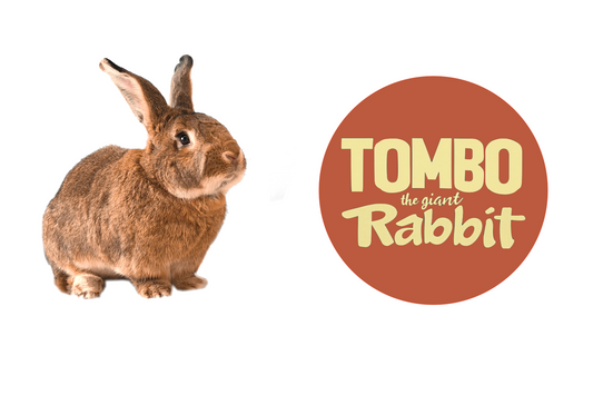 Tombo The Giant Rabbit - Stickers